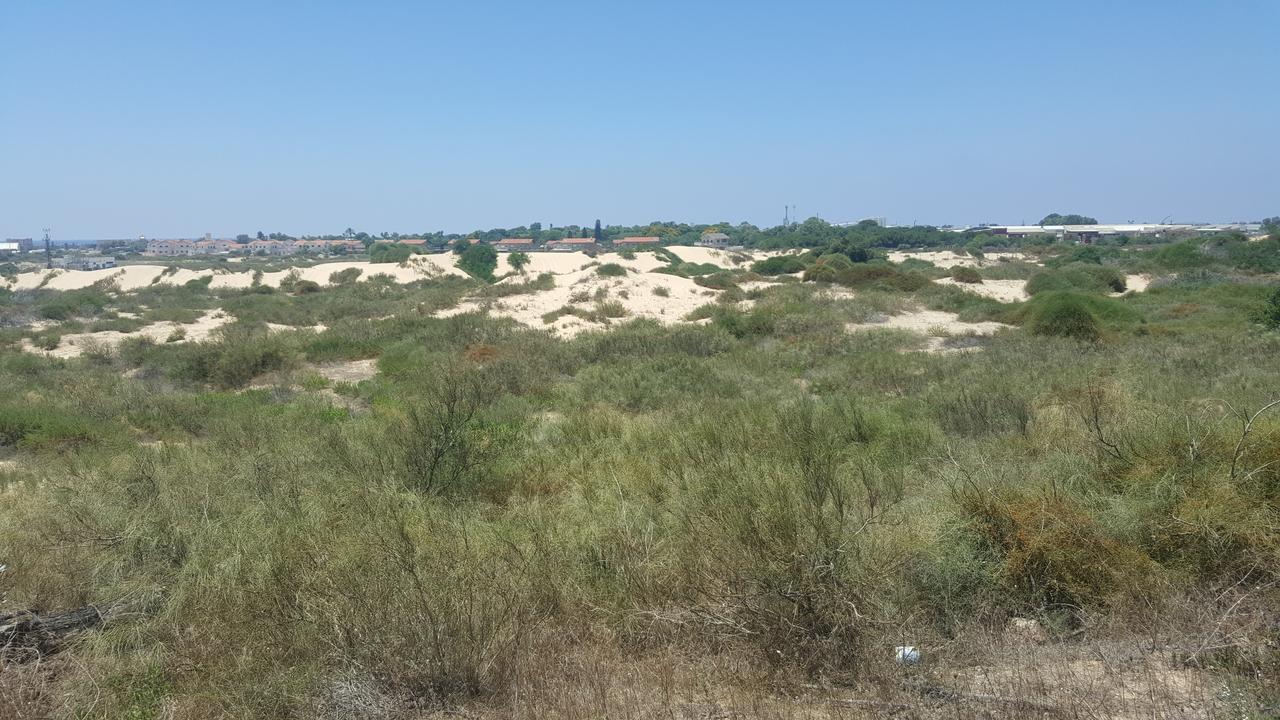 Neot Golf Caesarea Garden Apartment Екстер'єр фото