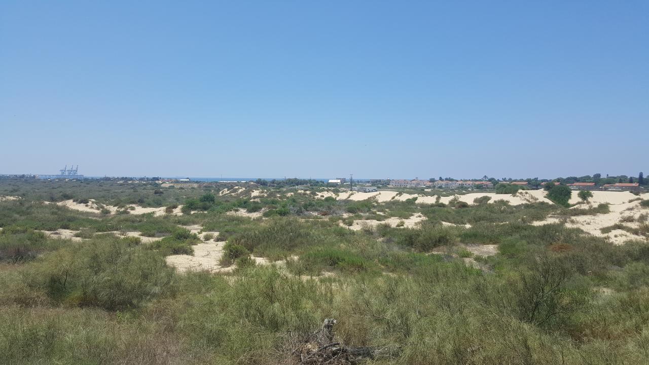 Neot Golf Caesarea Garden Apartment Екстер'єр фото
